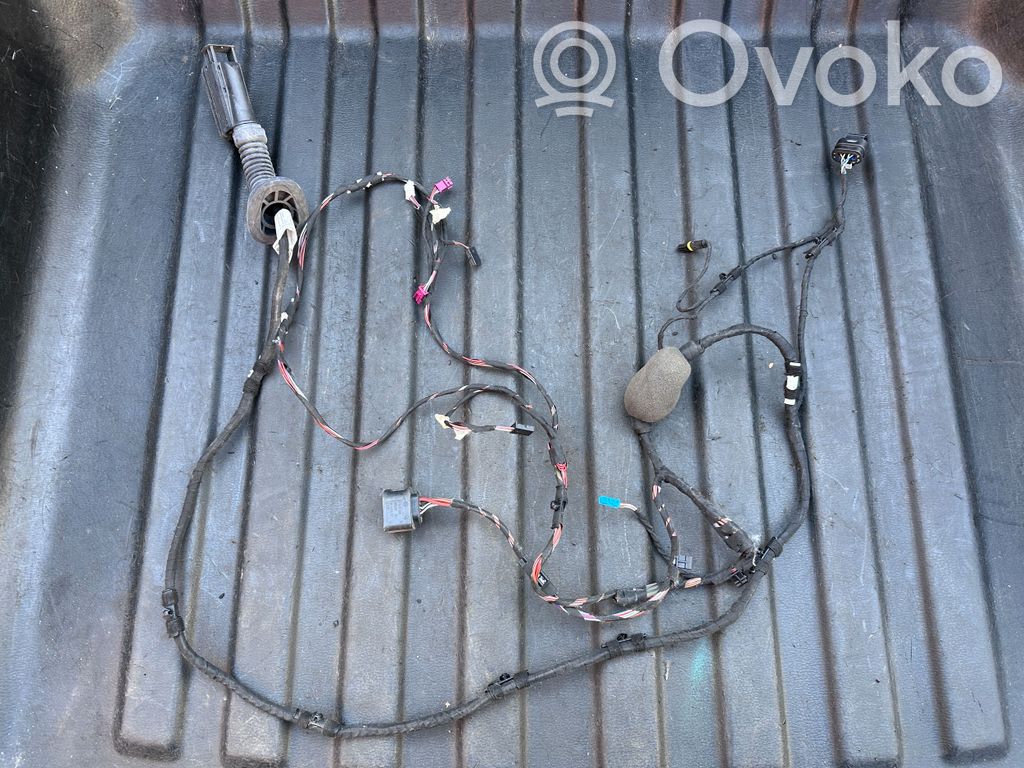 BMW X3 G01 Cableado de puerta trasera 