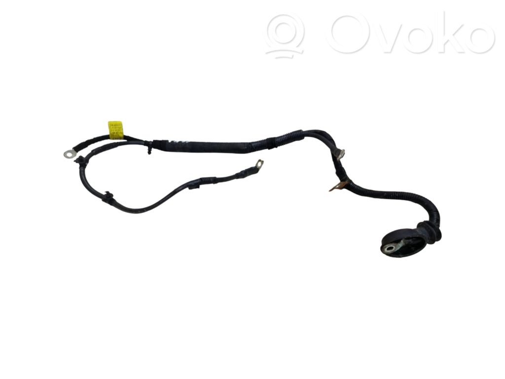 Plusa vads (akumulatora)   42454912