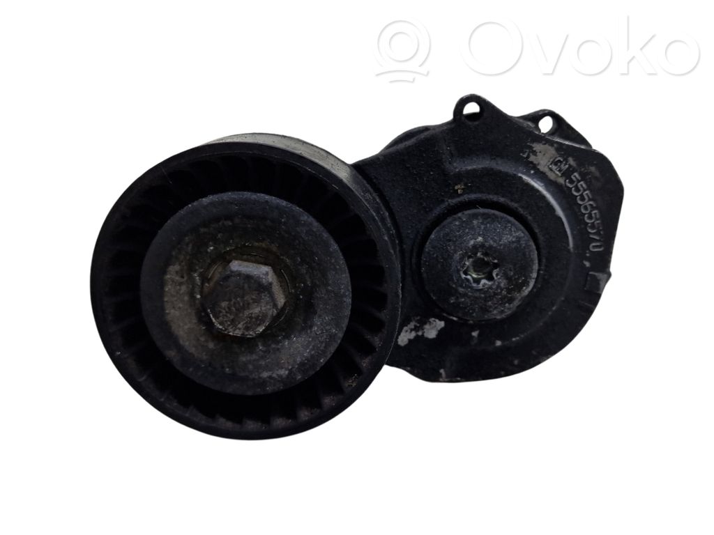 Opel Mokka Generator/alternator belt tensioner 