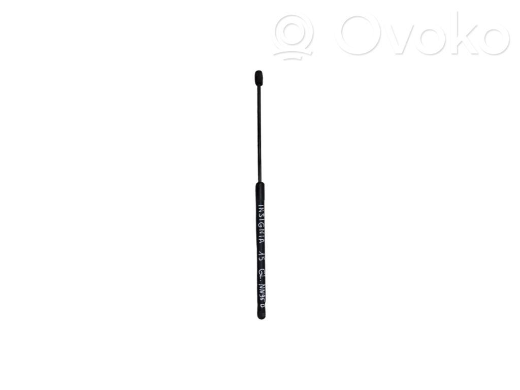 Opel Insignia A Tailgate/trunk strut/damper 
