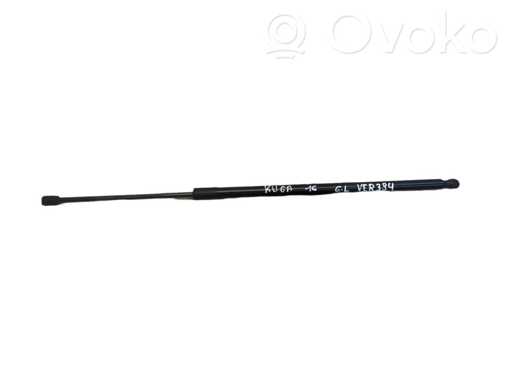 Ford Kuga II Tailgate/trunk strut/damper 