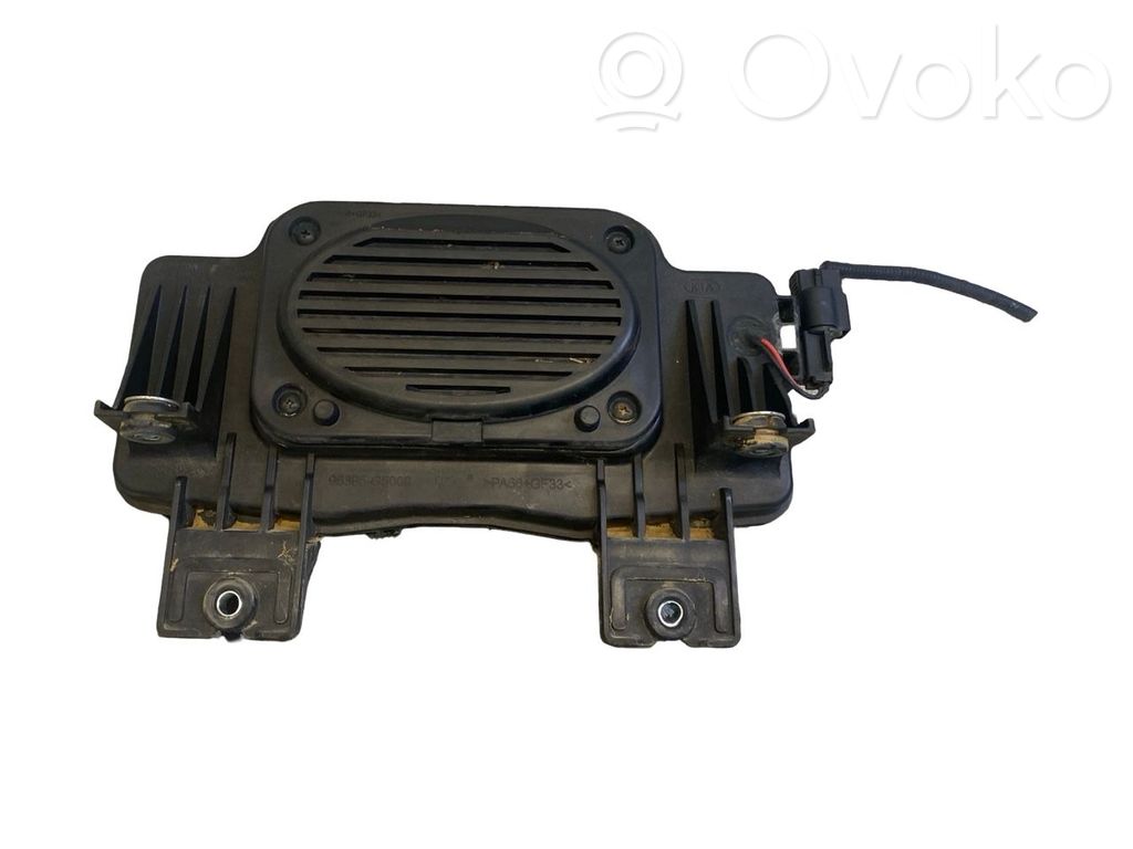 KIA Niro Alarm system siren 