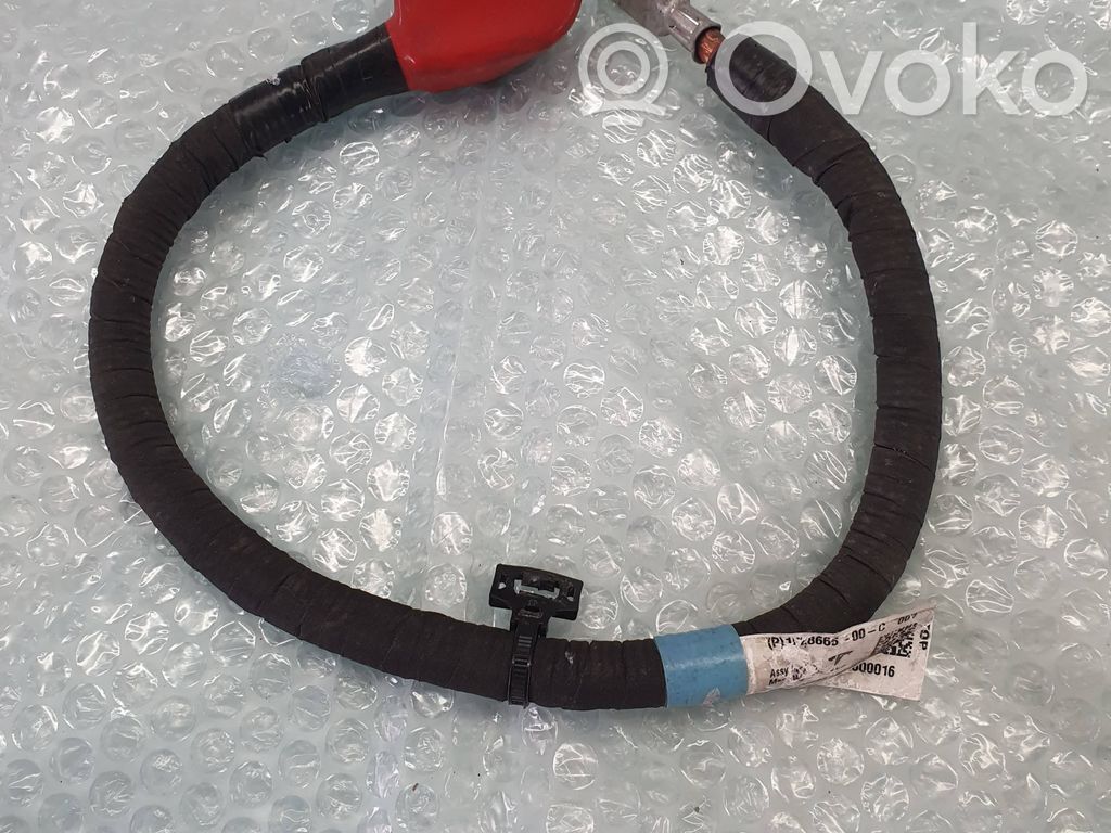 Tesla Model S Other wiring loom 