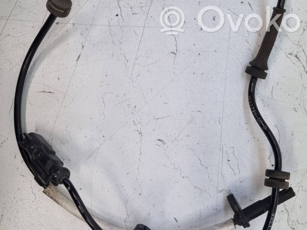Tesla Model S Greičio daviklis 
