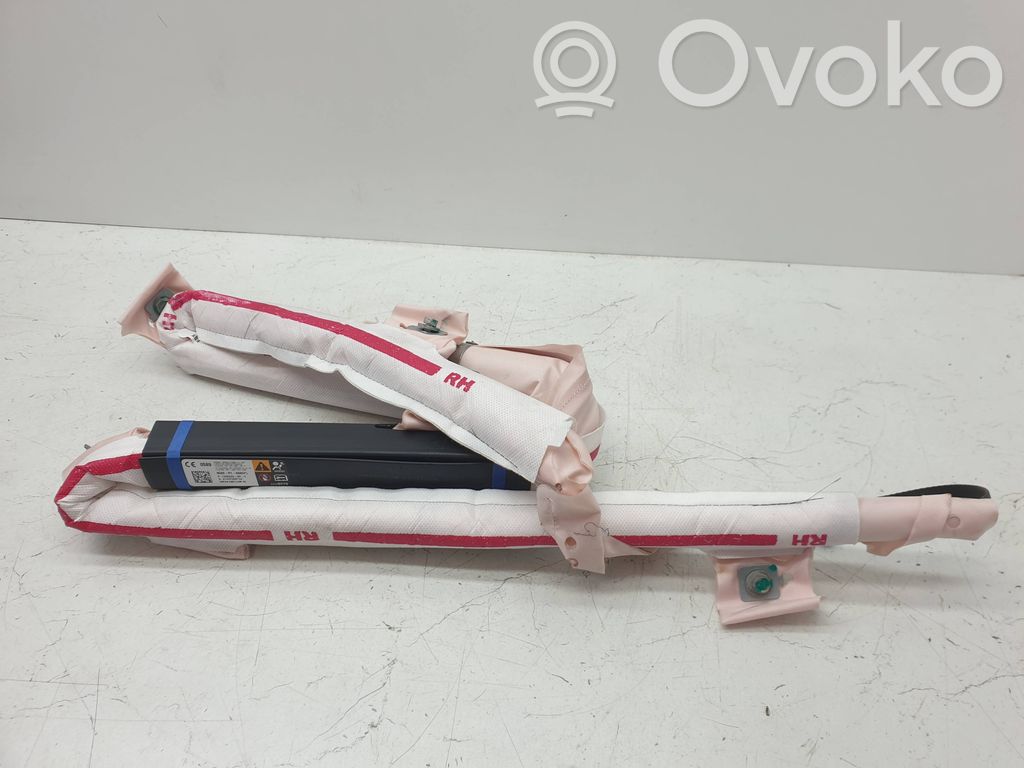 Tesla Model S Airbag del techo 