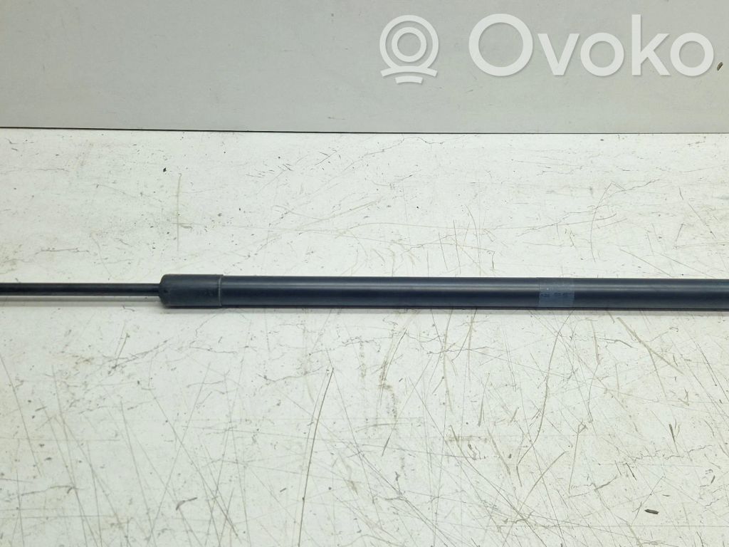 Chrysler Pacifica Tailgate/trunk strut/damper 
