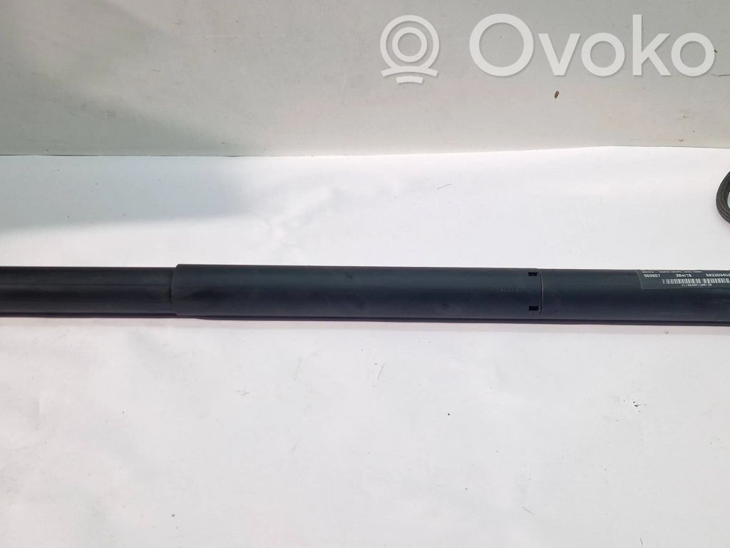 Aizmugurējā pārsega pievilcējs   68230340AD,969887