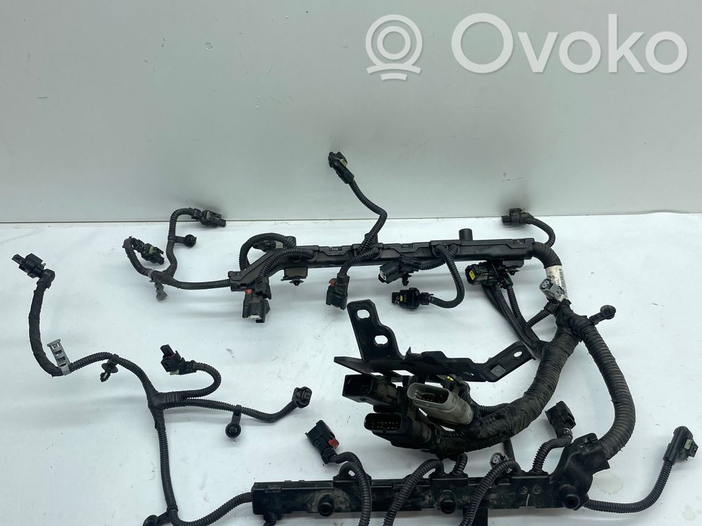 Dodge Durango Fuel injector wires 