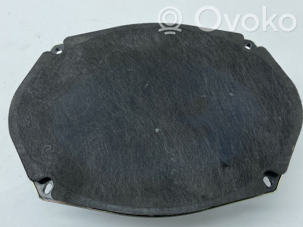 Dodge Charger Front door speaker 