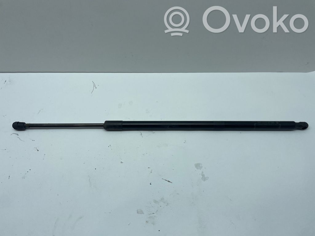 Chrysler Pacifica Tailgate/trunk strut/damper 