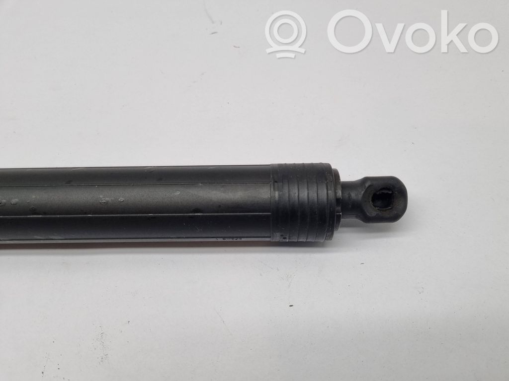 Chrysler Pacifica Tailgate/trunk strut/damper 