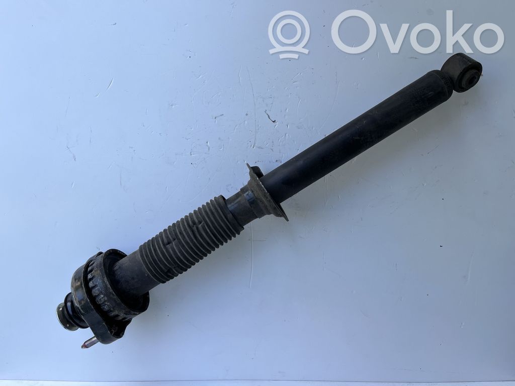 Stoßdämpfer hinten   4162A058