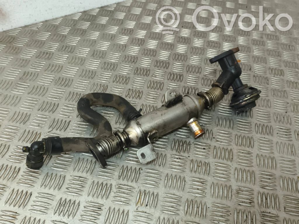 Peugeot 307 EGR aušintuvas 