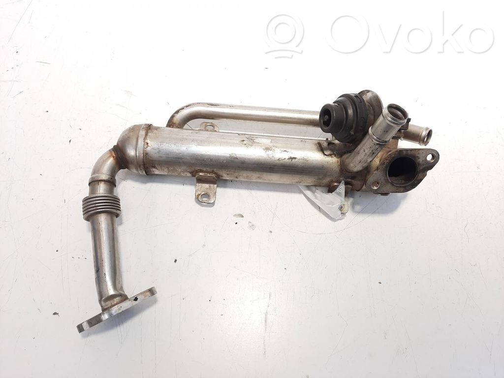 Volkswagen PASSAT B6 Chłodnica spalin EGR