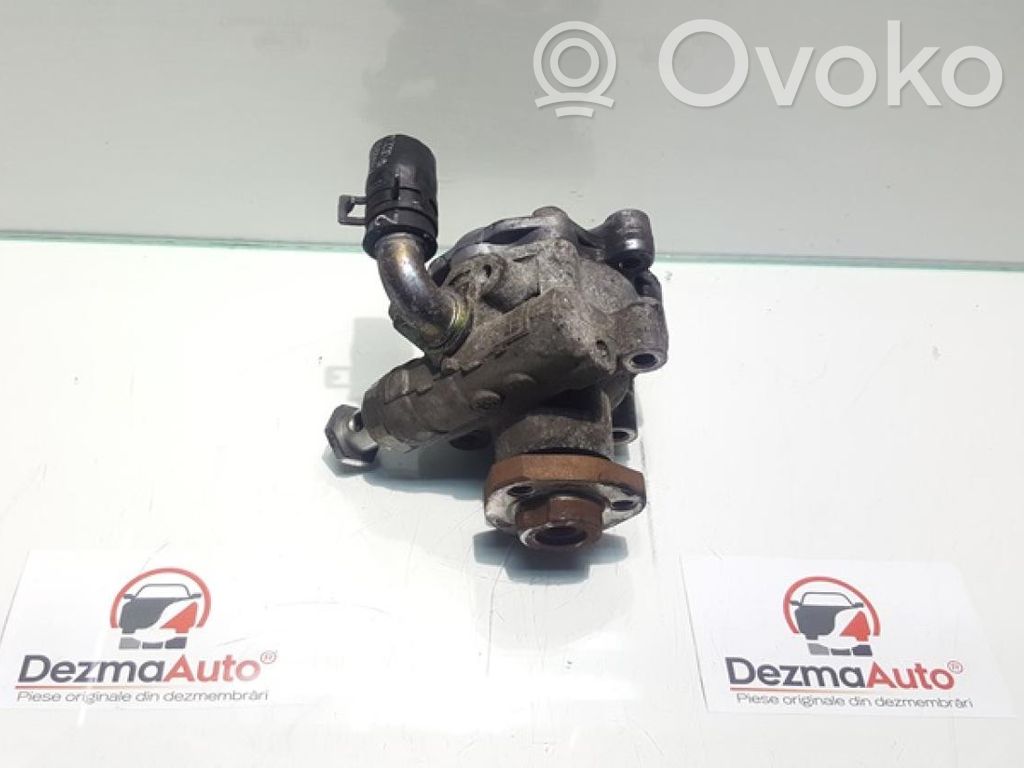 Volkswagen Golf IV Pompa servosterzo