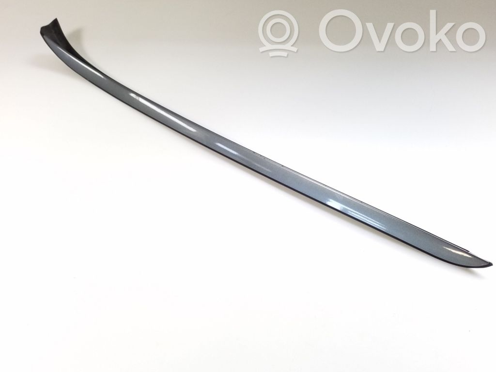 Priekinio stiklo apdaila   7184001