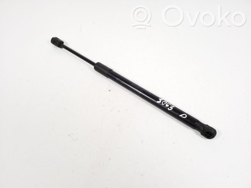 BMW 1 E82 E88 Konepellin kaasujousi 