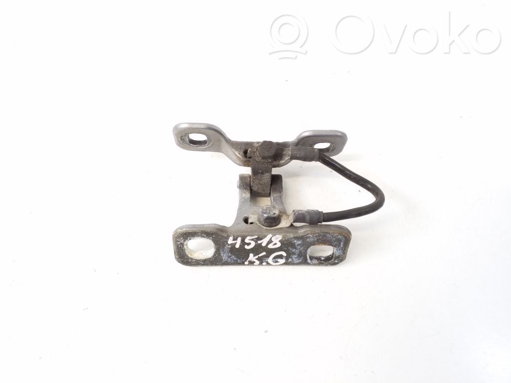 Tailgate/trunk/boot hinge   3422367