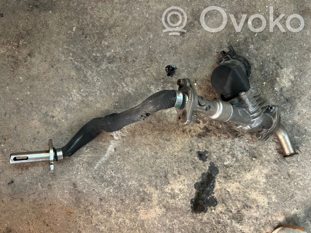 EGR vārsts   756324104