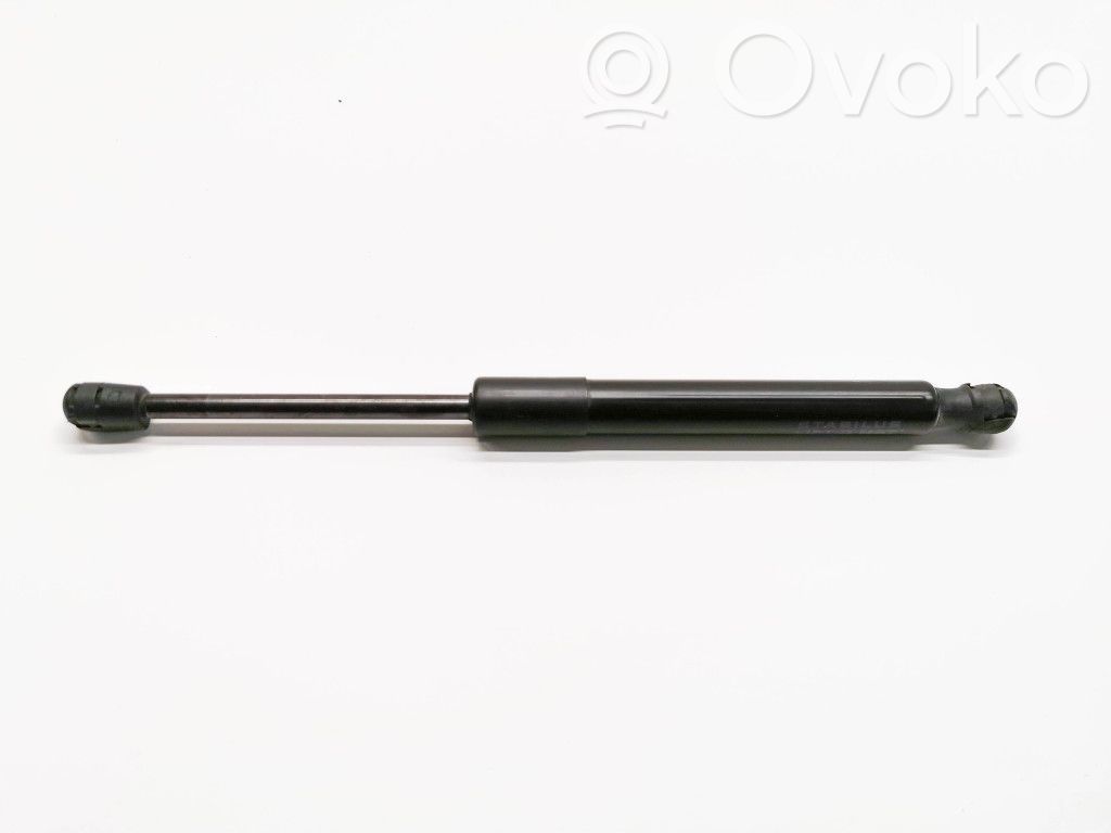 Tesla Model 3 Front bonnet/hood damper/strut 