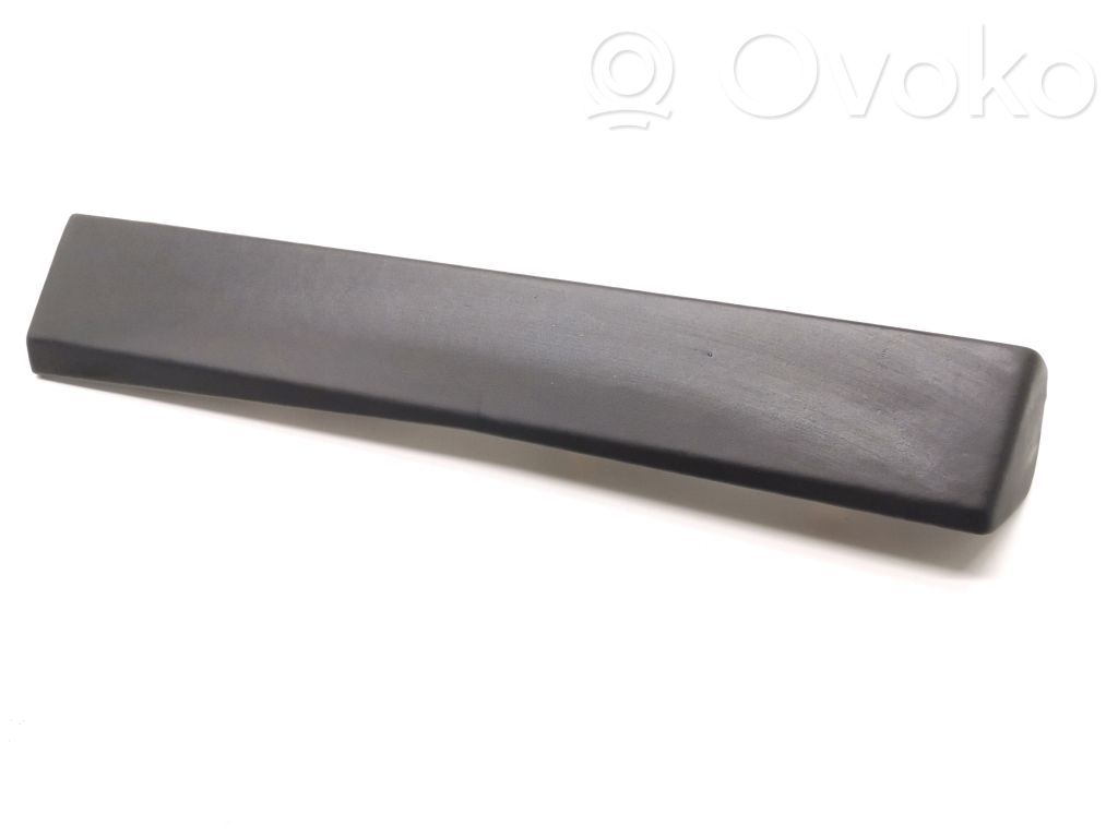 Panel trim   100230101B