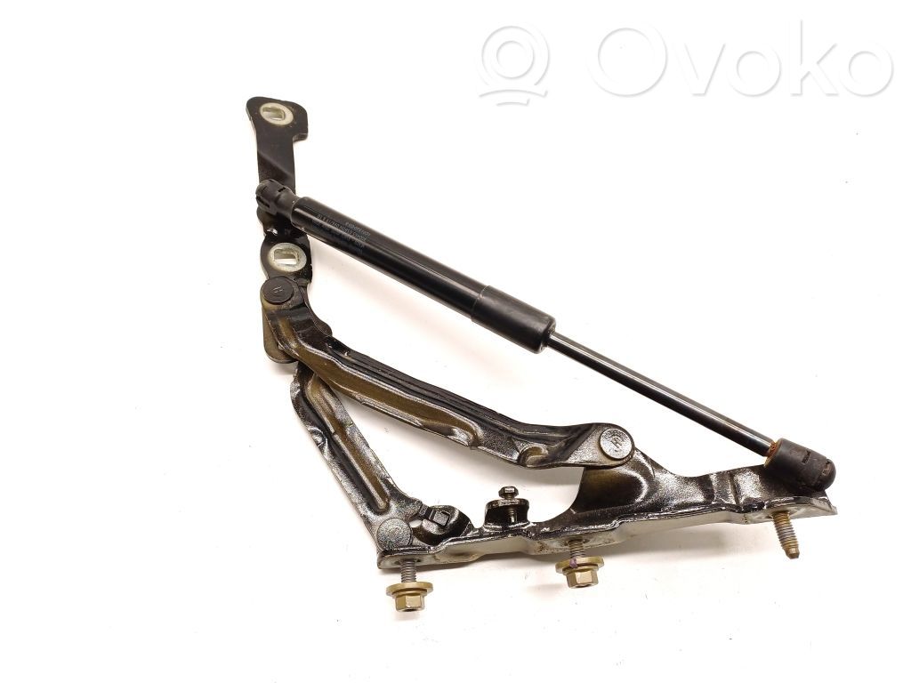 Tesla Model 3 Tailgate/trunk/boot hinge 