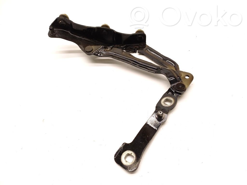 Tesla Model 3 Tailgate/trunk/boot hinge 