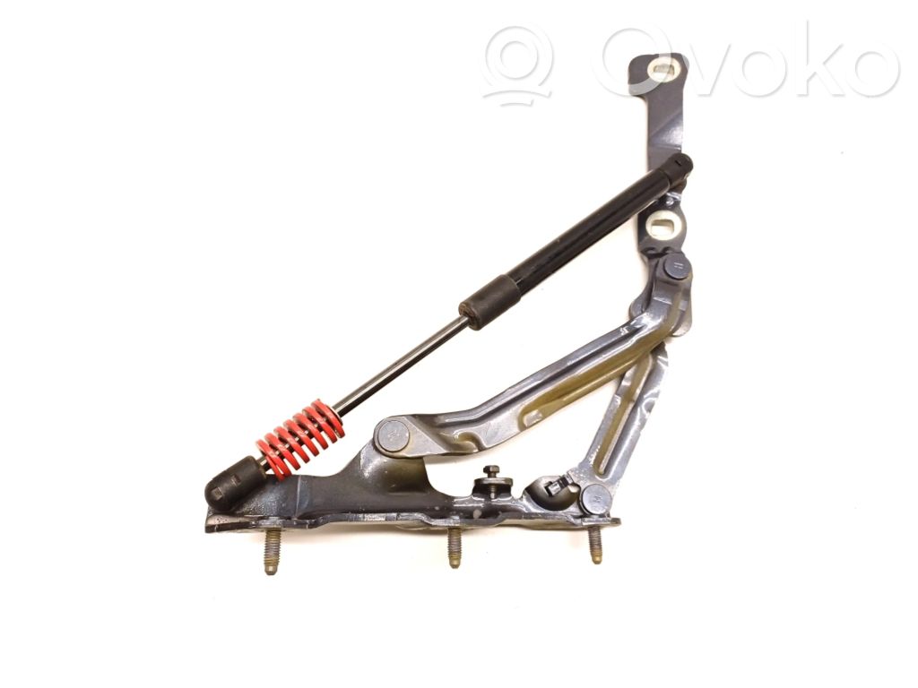 Tesla Model 3 Tailgate/trunk/boot hinge 