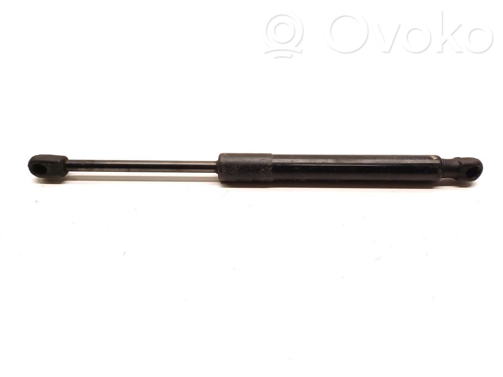Tesla Model 3 Tailgate strut 