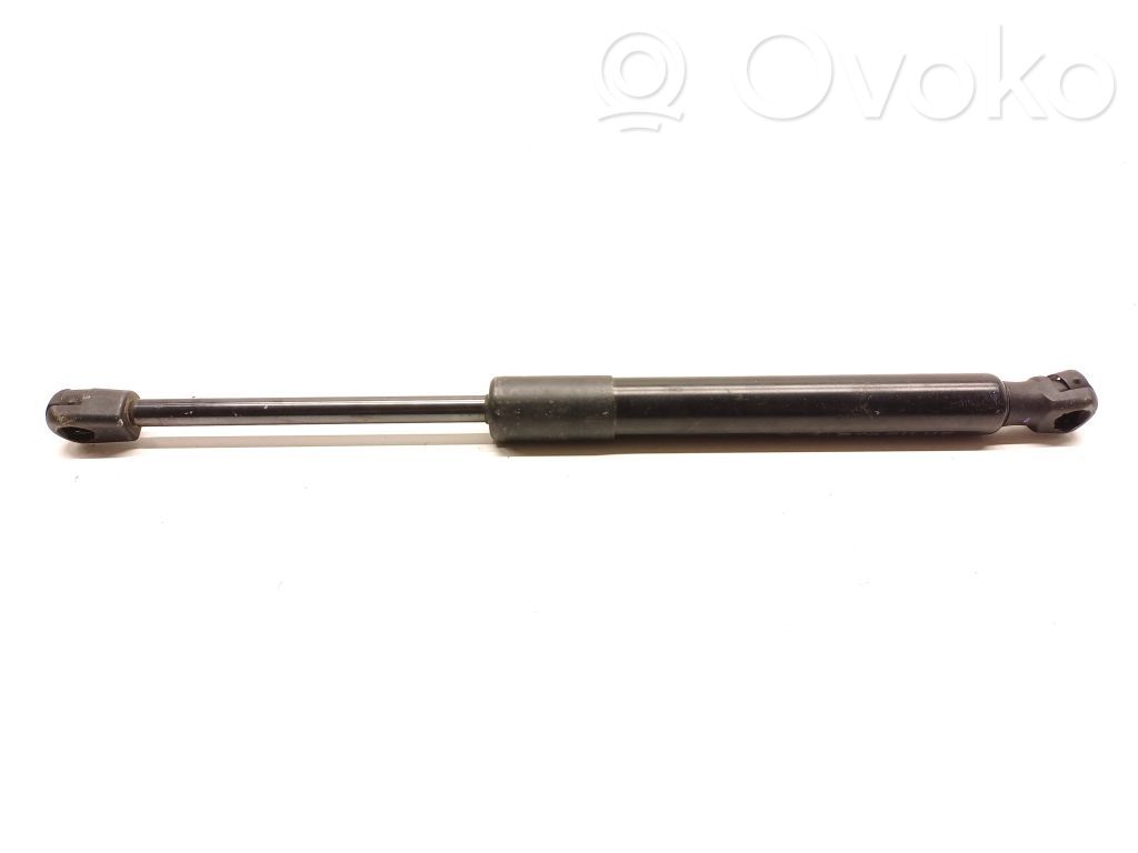 Tesla Model 3 Tailgate strut 