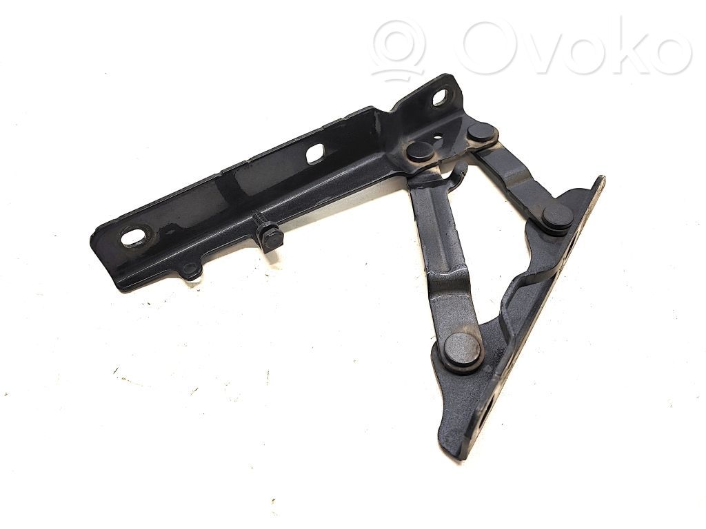 Tesla Model S Cerniere del vano motore/cofano 