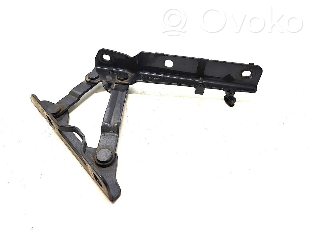 Tesla Model S Cerniere del vano motore/cofano 