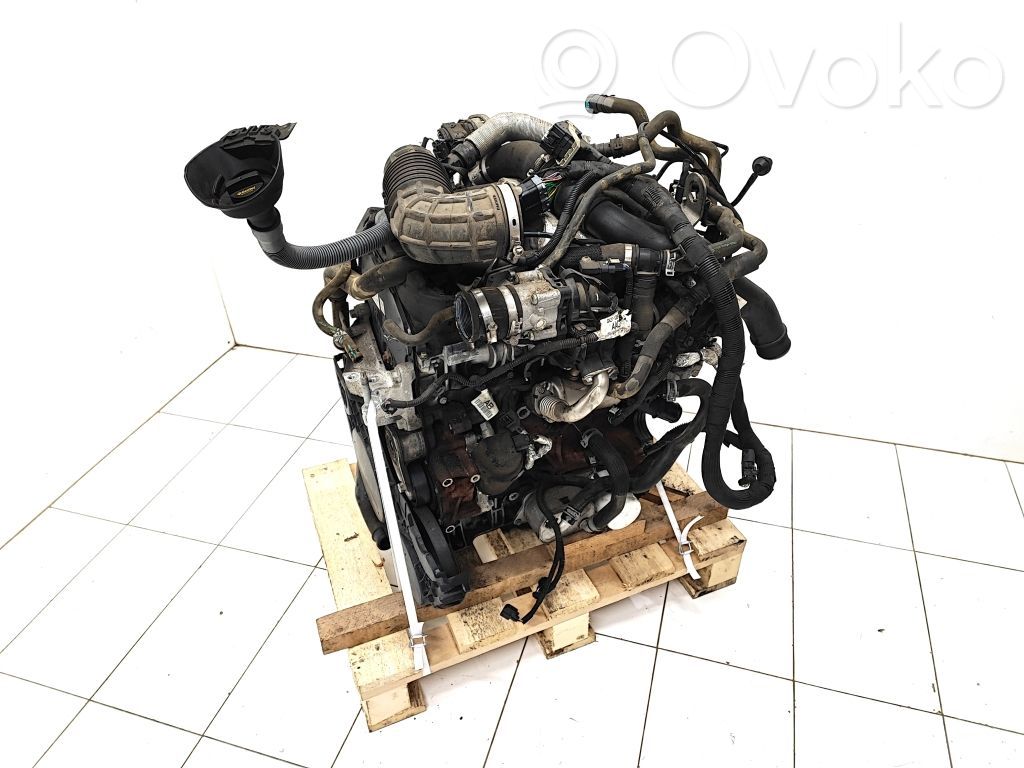 Motor   YLF6