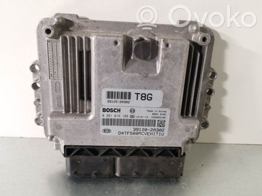 Engine control unit/module   0281018188
