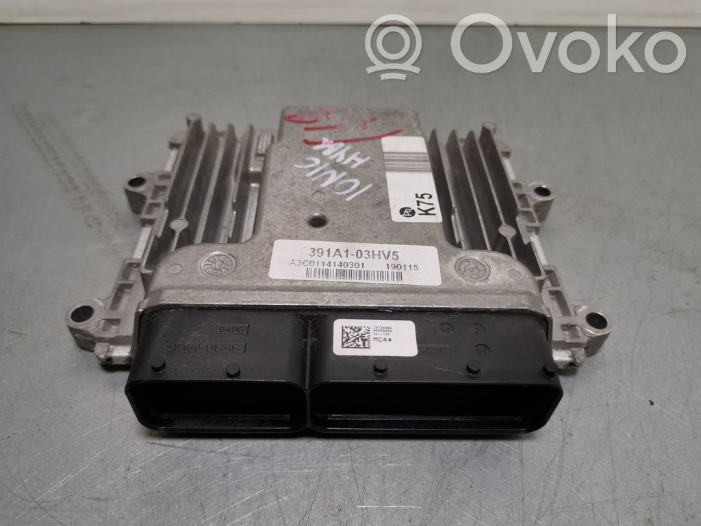 Hyundai Ioniq Engine control unit/module 