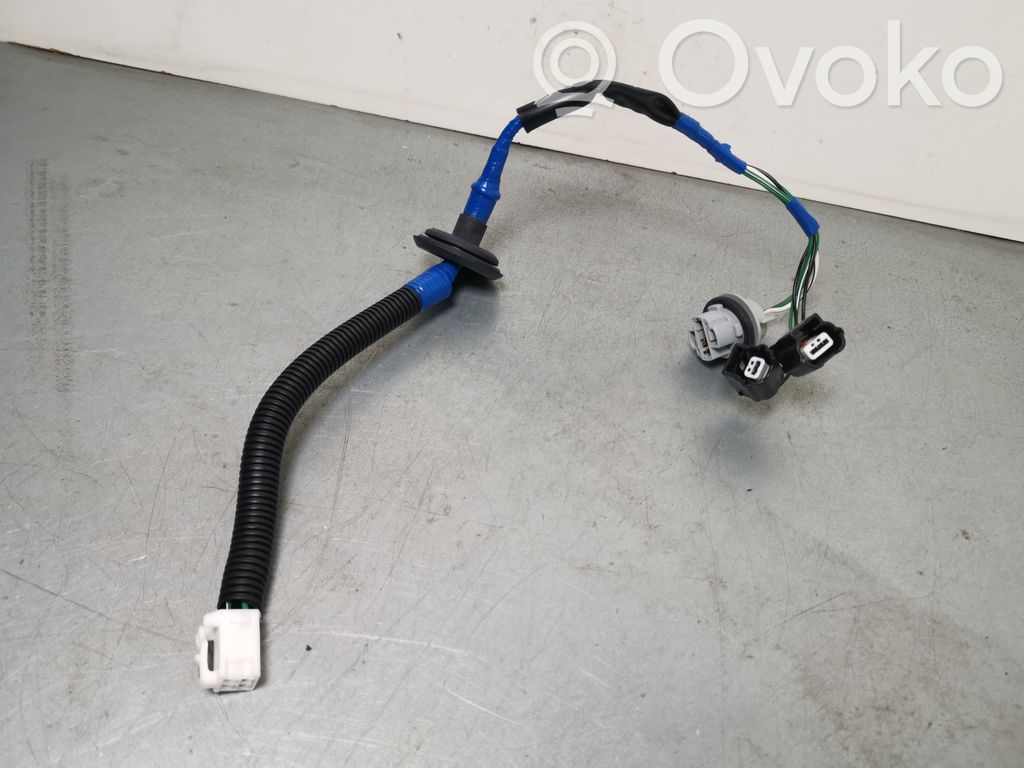 Toyota RAV 4 (XA50) Galinio žibinto detalė 