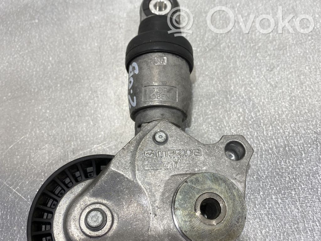 Napinacz paska alternatora   F56989710,PE0315980,F569897070100