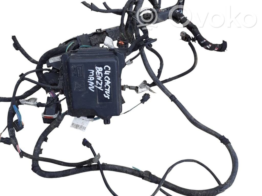 Citroen C4 Cactus Cavo negativo messa a terra (batteria) 