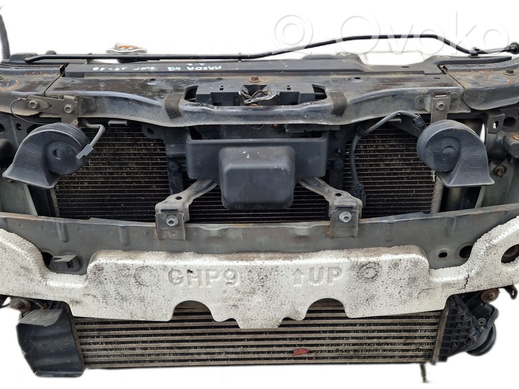 Radiatoru panelis   6GJ