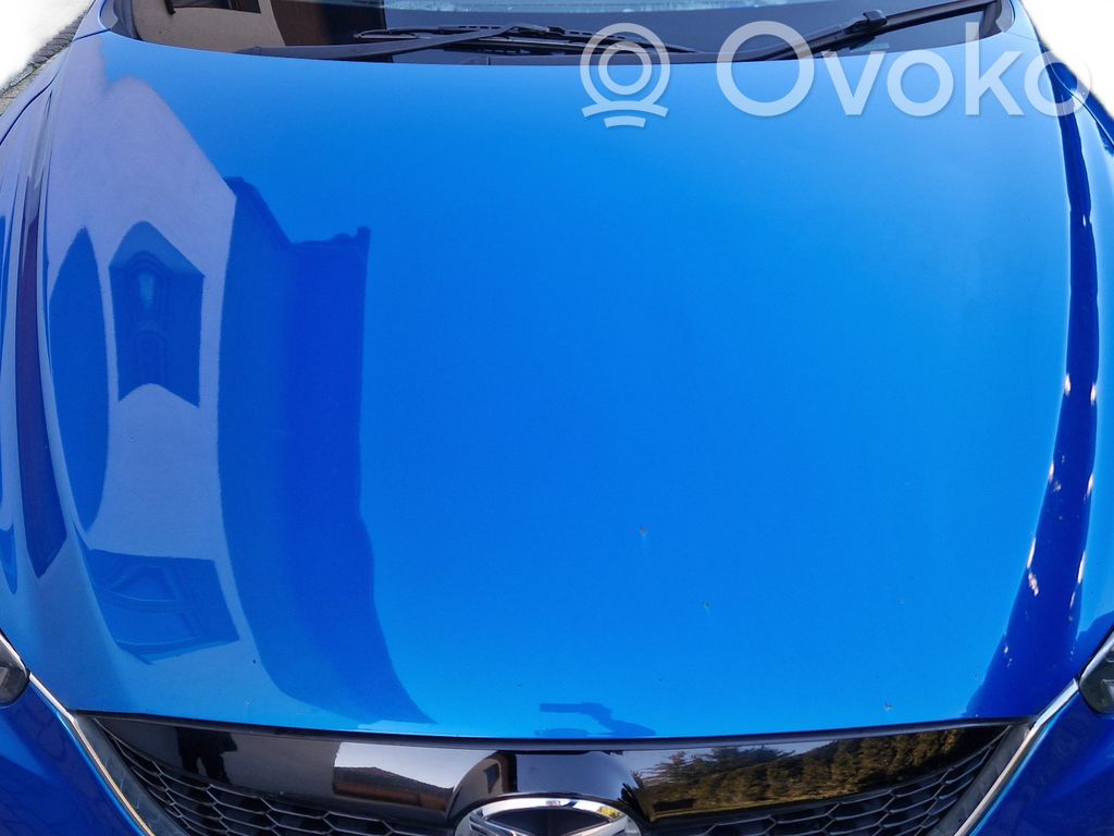 Engine bonnet/hood   41B