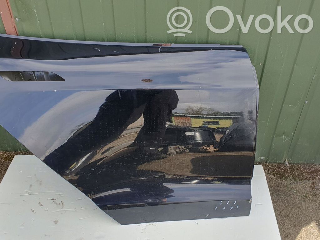 Tesla Model S Galinės durys 