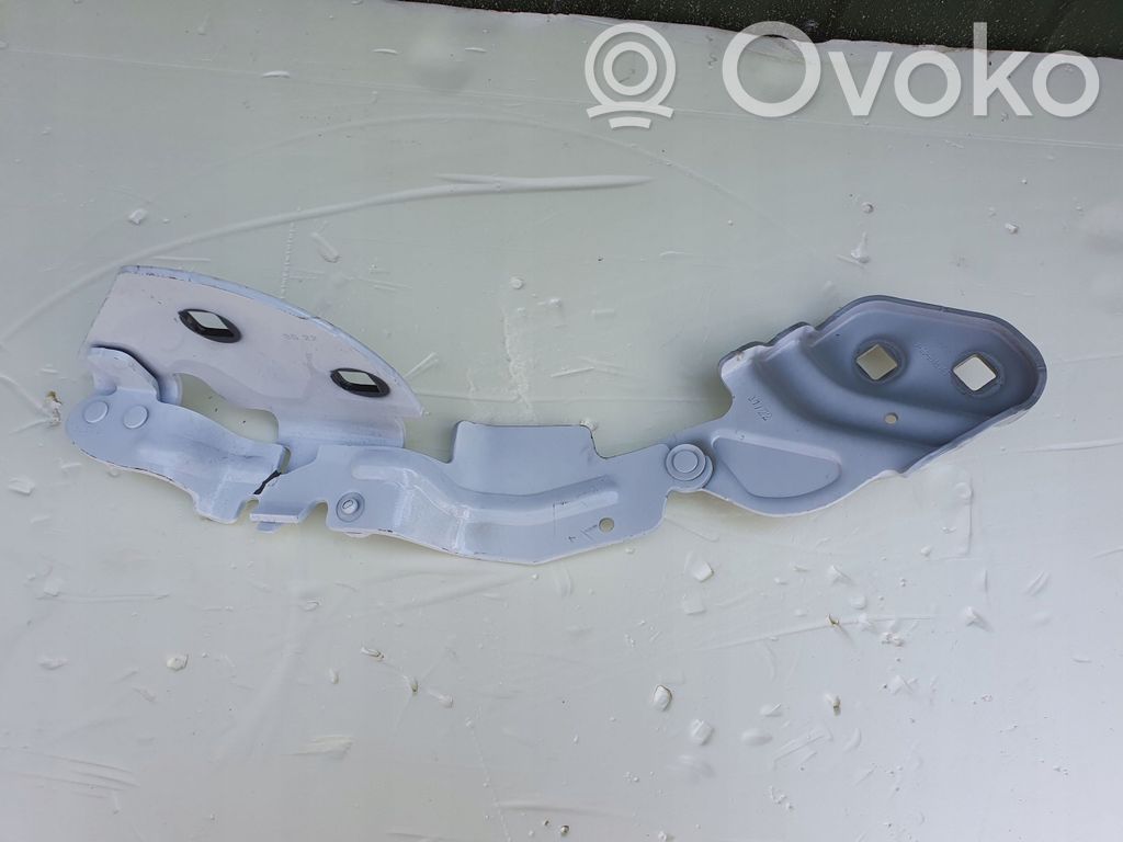 Tesla Model 3 Dzinēja pārsega eņģe (-es) 