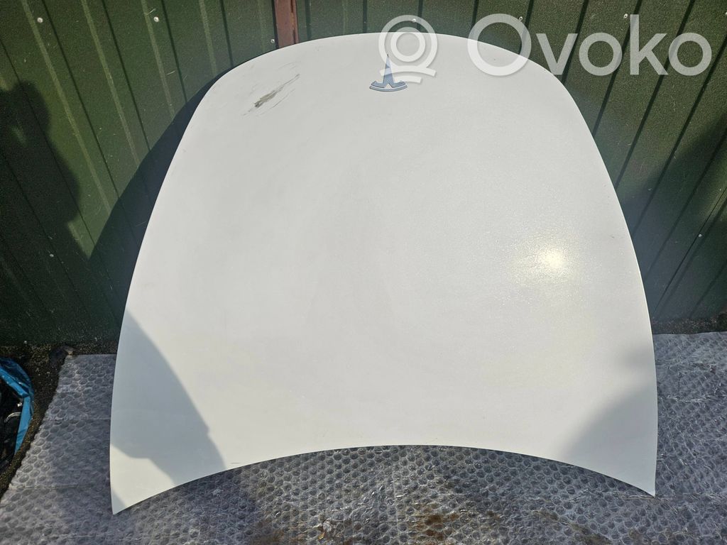 Tesla Model Y Dzinēja pārsegs (vāks) 