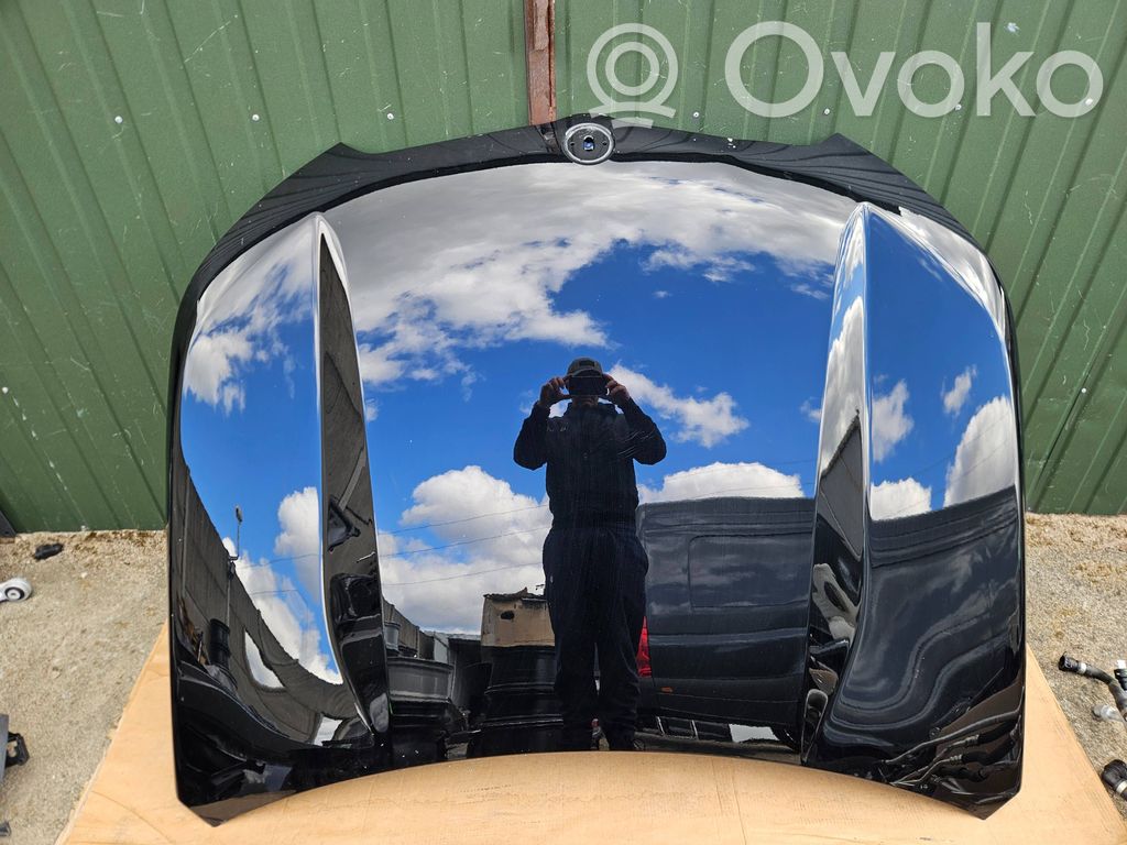 Vano motore/cofano   6995892