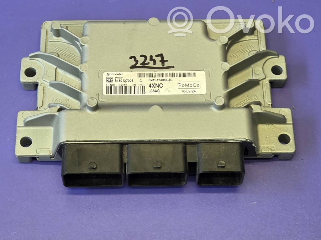 Ford Focus Engine control unit/module 