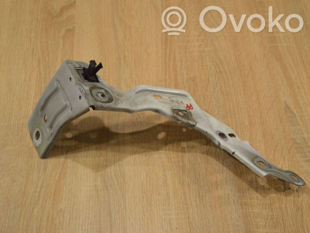 Renault Laguna III Šoninė dalis radiatorių panelės (televizoriaus) 