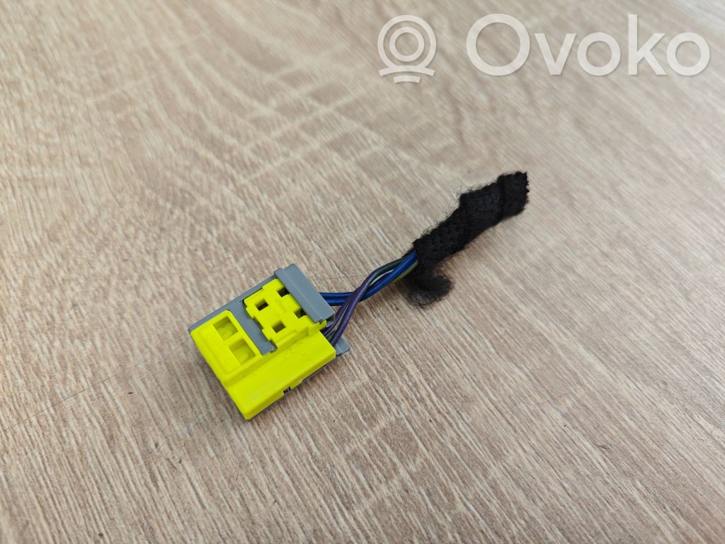 BMW X6 G06 Otros cableados 