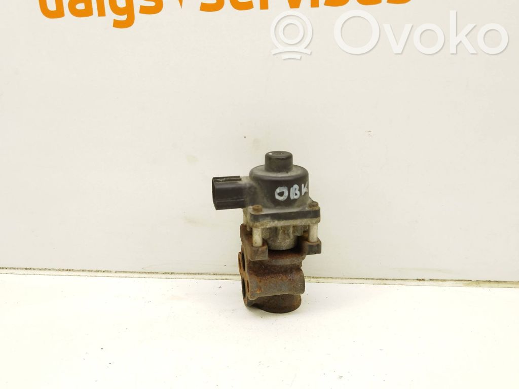 EGR aušintuvas