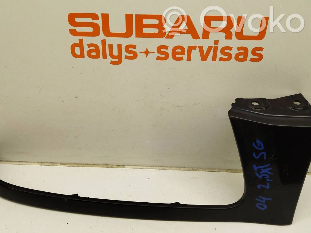 Under headlight/headlamp trim