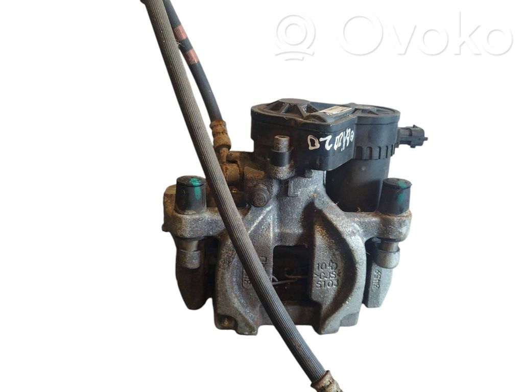 Takajarrusatula   26620AN01A